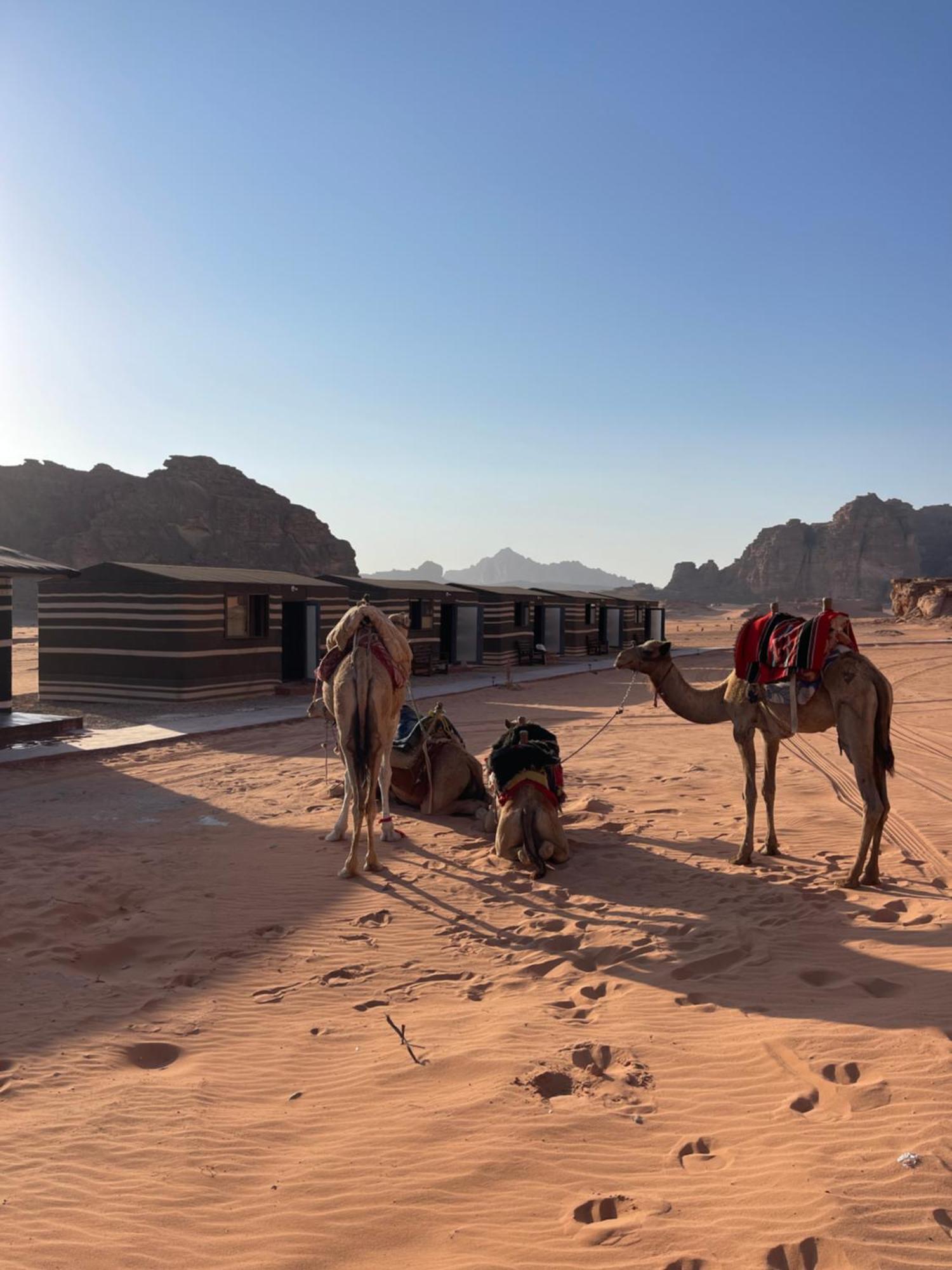 Wadi Rum Magic Camp Екстер'єр фото